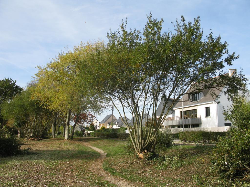 דמגאן Villa Pecheur מראה חיצוני תמונה